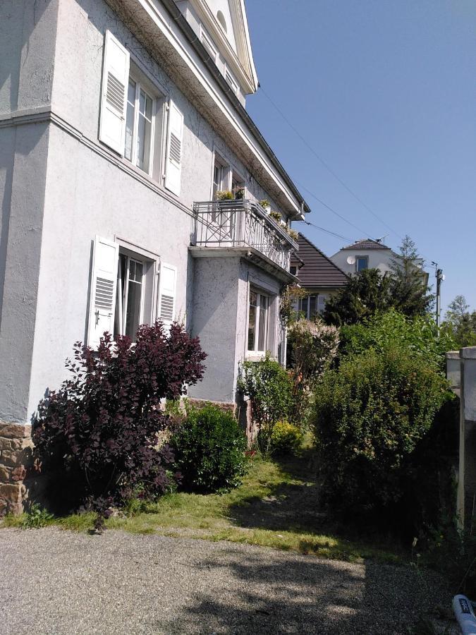 La Chambre De La Maison Bleue 科尔马 外观 照片
